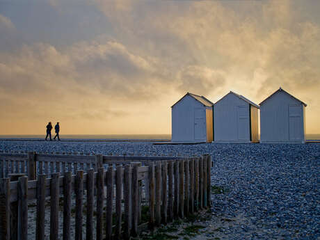 Exposition "Littoral" chez Livres Books & Co