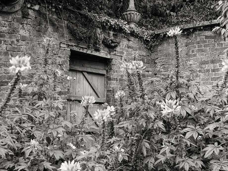 Exposition photographique "Secret Gardens" chez Livres Books & Co