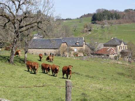 Circuit : à la découverte du patrimoine agricole de Saint-Hilaire-Taurieux