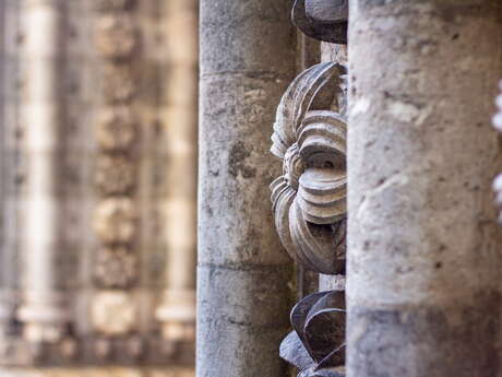 Découverte du Quartier Cathédral