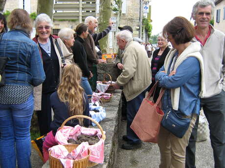 Marché aux truffes d’été Marché aux truffes d’été