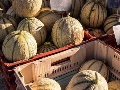 Marché estival de Montcabrier
