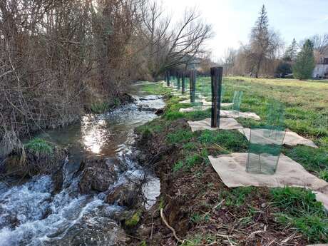 Atelier découverte "La Faune et la flore des bords de rivière" à Souillac
