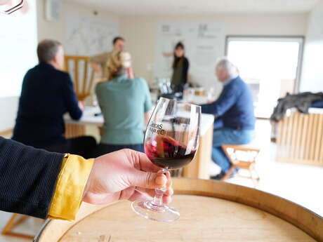 Dégustations de l’Eté à Vinoltis