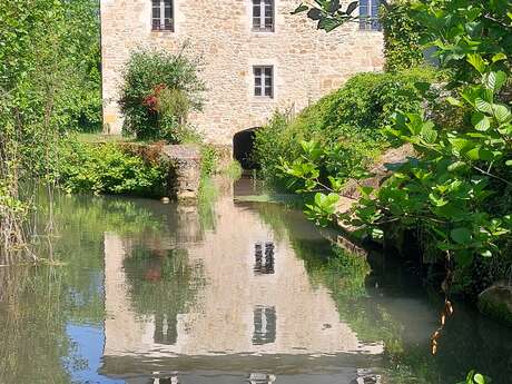 Le marais de Cléjoux