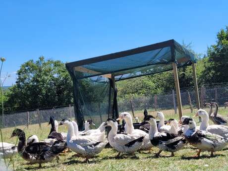 La P'tite ferme Jacquin