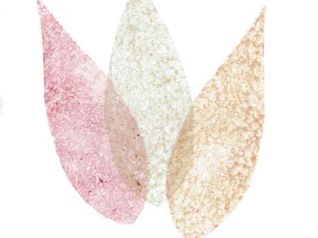 Peinture végétale avec Sophie Quinault