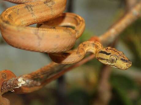Jeu de piste au Padiparc