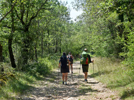 Boucle itinérante - Sur les pas de Saint-Jacques en Quercy Blanc
