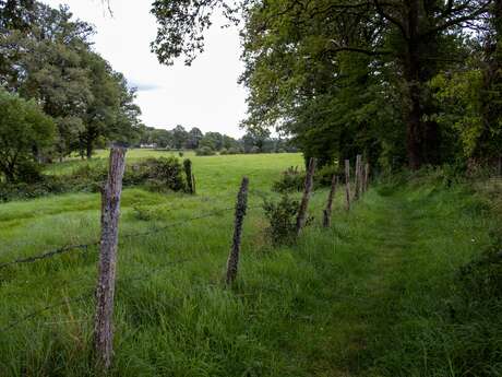 Randonnée douce avec Pique et Pousse en Quercy Blanc