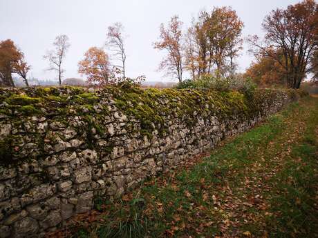 Chemin des Cayrous