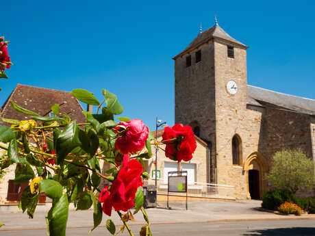 Mission Village