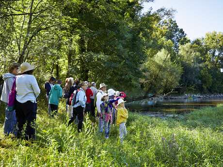 Les oiseaux de la vallée de la Dordogne
