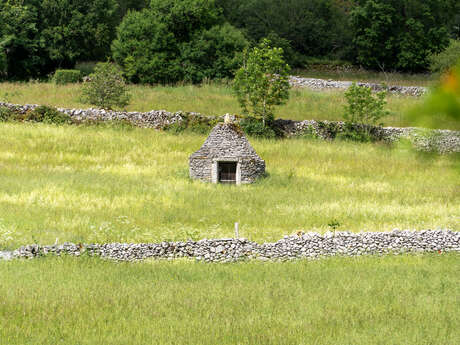 Au coeur du Triangle Noir