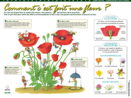 Exposition "Le jardin potager"