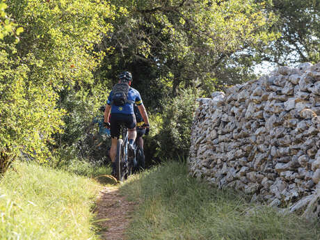Le chemin des Dolmens et des Cazelles