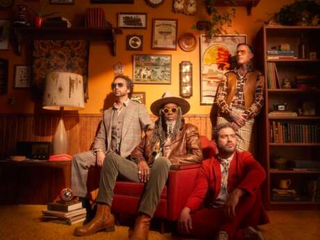 Concert : Magnific Picnic, The Brooks (funk - Canada)