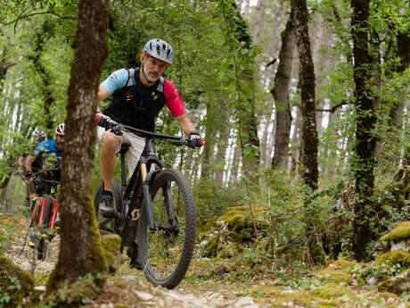 Vignobles et rivière Lot