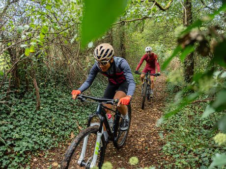 Circuit de Linac, sur la Route des Moulins
