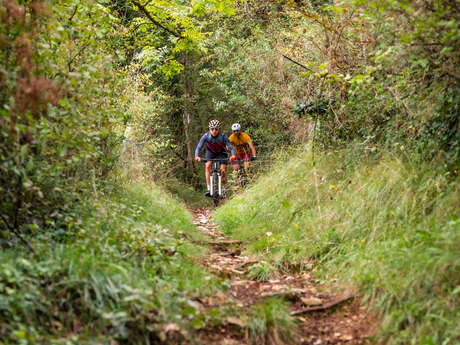 Tour du Lot - Tronçon 3 de Saint-Céré à Figeac par le Ségala