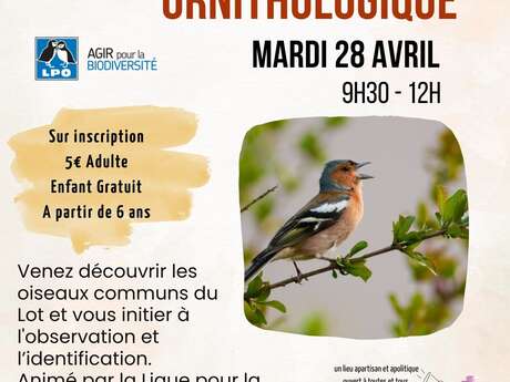 Balade ornithologique au 3ème Lieu