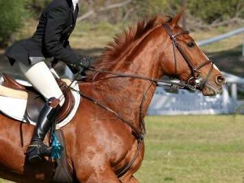 Derby Eventing Challenge du Lot