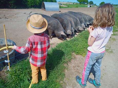 Ferme du Pilou