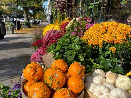 Fête de l'automne et du CAP