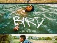 Ciné-Lot à Le Bourg  : "Bird"