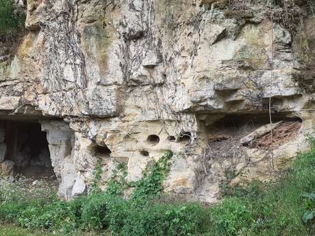 Conférence et randonnée : "Causse, combes et vallées : balade géologique autour de Cénevières, des terroirs contrastés"