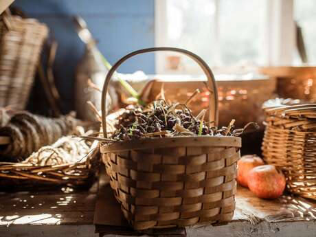 Cueillette et cuisine de plantes sauvages