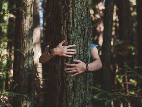 Après-midi détente "Dans ces bois"