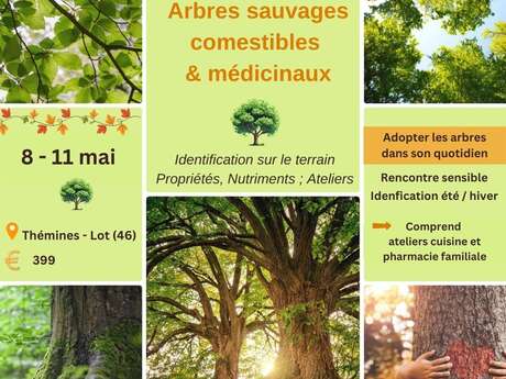 Stage à Thémines : arbres sauvages comestibles et médicinaux