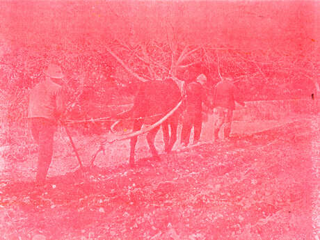 Exposition à la Vinadie  : Archives et matière photographique, Lilie Pinot