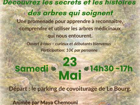 Balade nature : arbres médicinaux à le Bourg