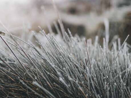 La nature en hiver, à la réserve départementale de biodiversité d'Argentat