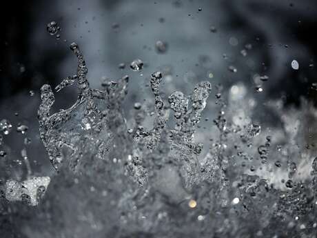 Atelier gestion et entretien des cours d'eau