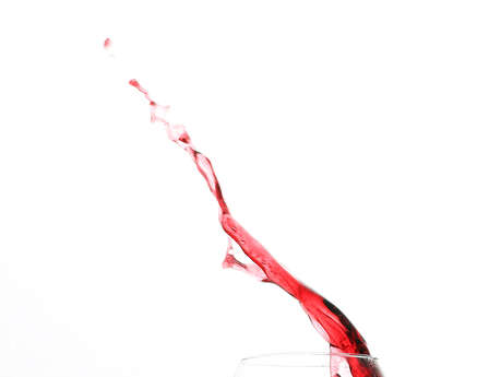 Portes Ouvertes à la Cave de Branceilles