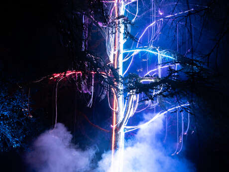 Visions Nocturnes au Parc Animalier