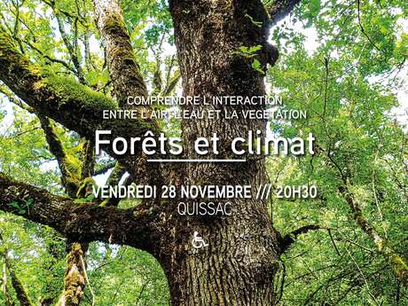 Forets et climat : comprendre l'interaction entre l'air, l'eau et la végétation