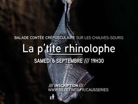La p’tite rhinolophe : Balade contée crépusculaire sur les chauves-souris