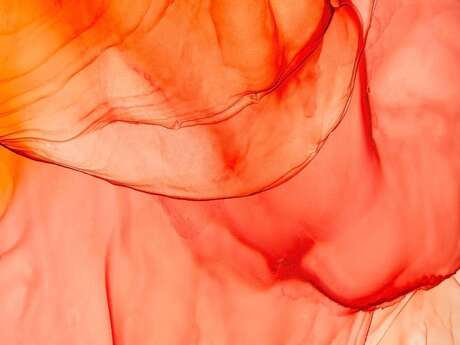 Exposition : "Deux natures"