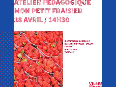 Animation pédagogique : Mon petit fraisier
