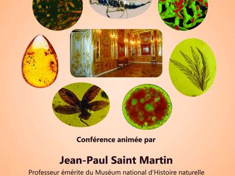 Conférence sur l'ambre, mémoire des mondes disparus par le paléontologue Jean-Paul SAINT MARTIN