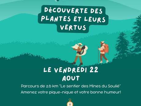 Petits pas dans les bois avec le Centre social de Figeac