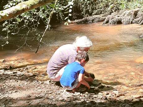 Atelier-découverte de la "petite faune de la rivière Souvigne"
