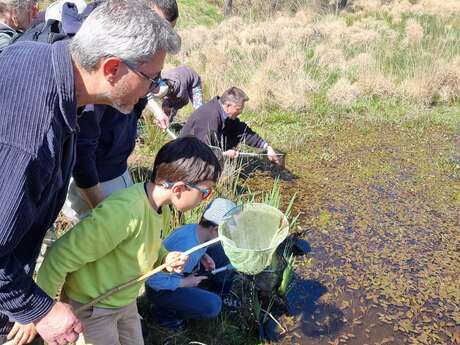 Atelier-Découverte La petite faune aquatique de la Bave