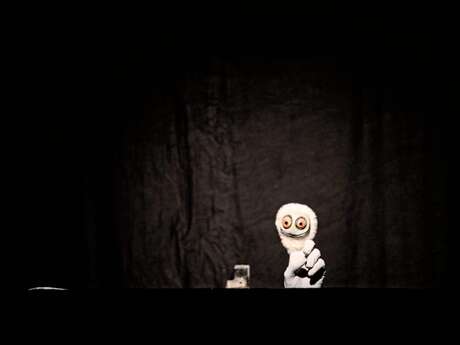 Festival Rencontres de Rignac - "Arsenic", spectacle de marionnettes et d'ombres