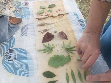 Atelier ecoprint M.A NAture