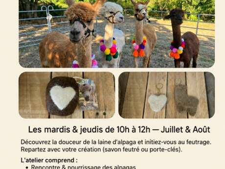 Ateliers feutrage à la ferme des Alpagas de Fons